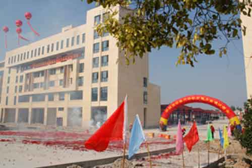 张家港中联木业城试营业典礼场景